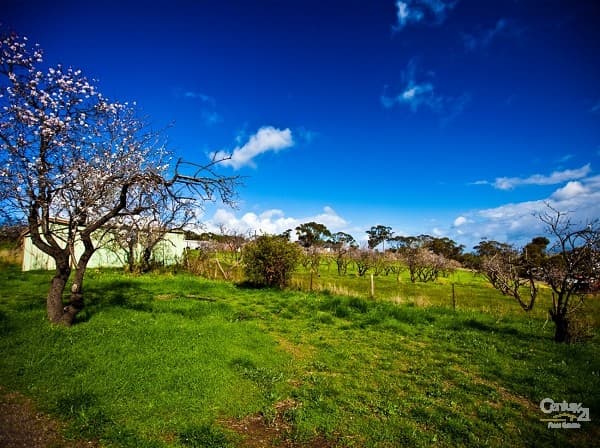 Lot 371 St Johns Terrace, Willunga, SA, 5172, Willunga - Thumbnail 5