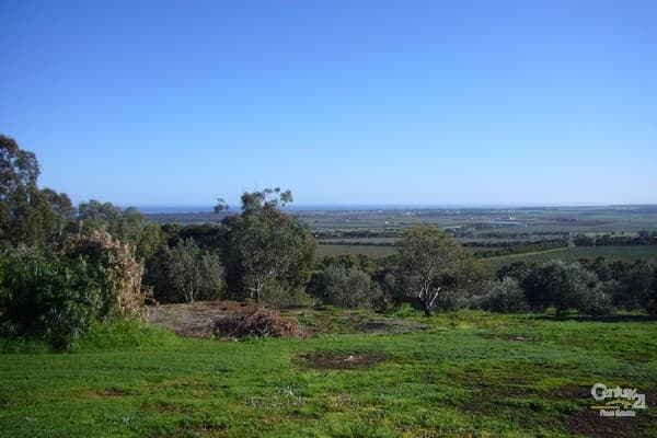 411 Plains Road, Sellicks Hill, SA, 5174, Sellicks Hill - Thumbnail 4