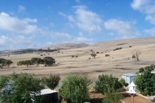 161 Esplanade, Aldinga Beach, SA, 5173, Sellicks Beach - Image 1