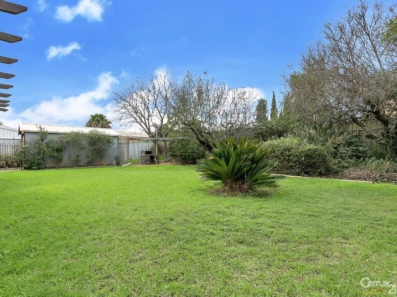10 Wirra Wirra Ave, Enfield, SA, 5085, Enfield - Thumbnail 4