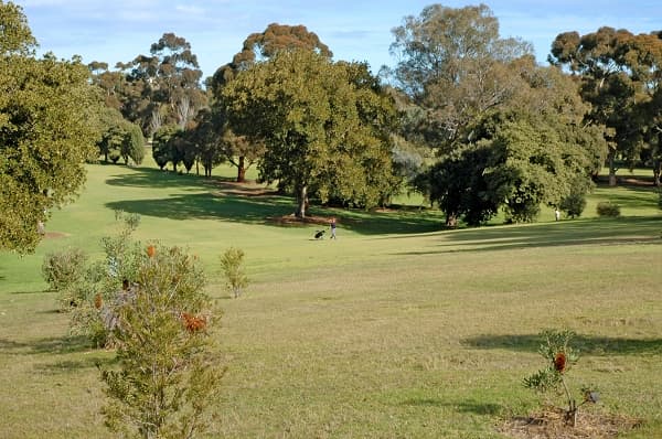 90a Prospect Road, Prospect, SA, 5082, North Adelaide - Thumbnail 7