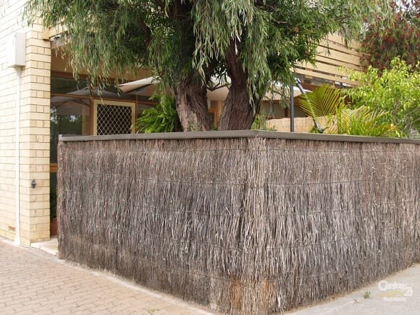 4/33 Gover Street, North Adelaide, SA, 5006, North Adelaide - Thumbnail 3
