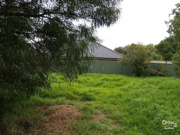4 Walton Avenue, Clearview, SA, 5085, Clearview - Thumbnail 4
