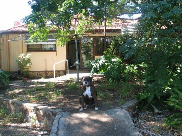 2 Hume Street, Seaview Downs, SA, 5049, Seaview Downs - Thumbnail 4