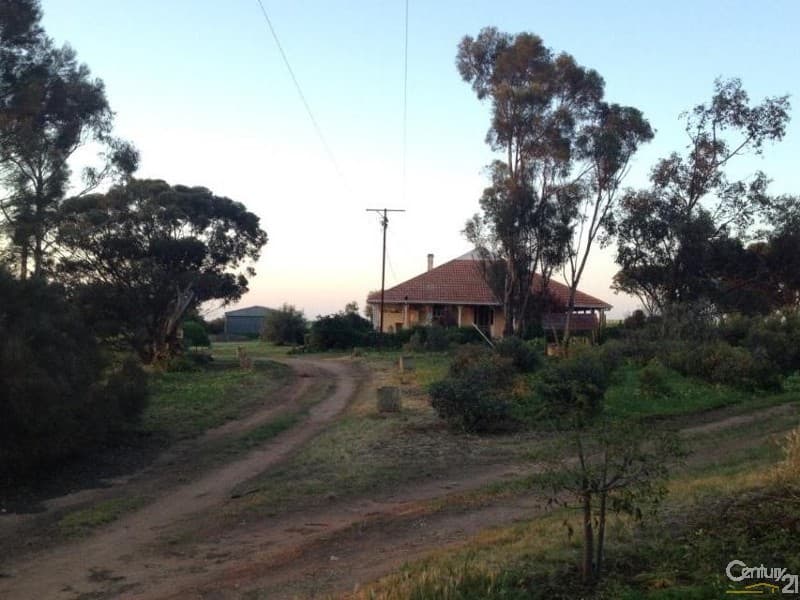 1812 Adelaide Road, Kulpara, SA, 5552, Kulpara - Thumbnail 3