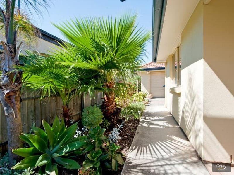 12 Anaconda Drive, North Haven, SA, 5018, North Haven - Thumbnail 4
