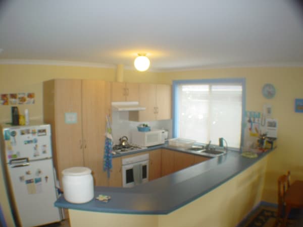 29 Milburn Street, Ottoway, SA, 5013, Ottoway - Thumbnail 4