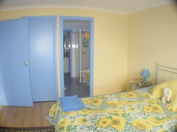 29 Milburn Street, Ottoway, SA, 5013, Ottoway - Thumbnail 6