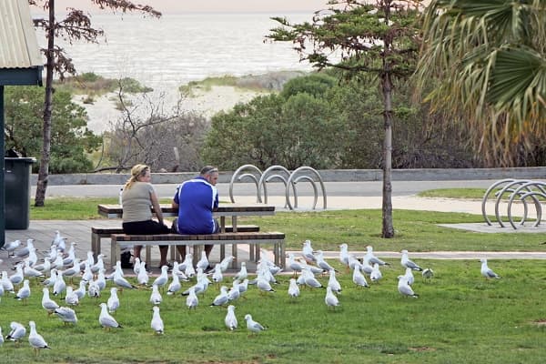 9/248 Military Road, Semaphore, SA, 5019, Semaphore - Thumbnail 7