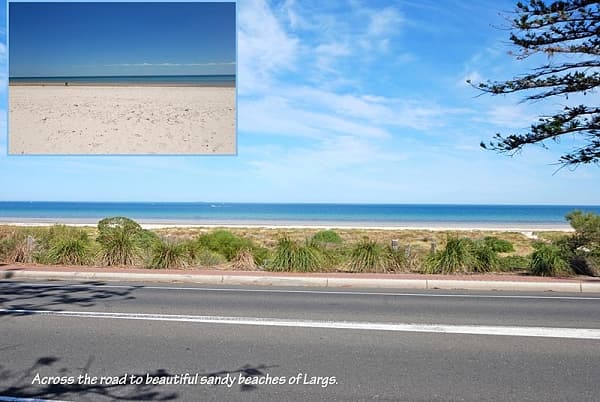 12 Ridgeway Avenue, Glenroy VIC, Glenroy - Thumbnail 3