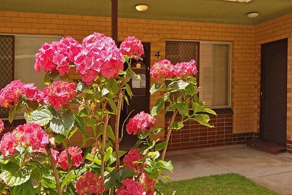 4/30 Semaphore Road, Semaphore, SA, 5019, Semaphore - Thumbnail 2