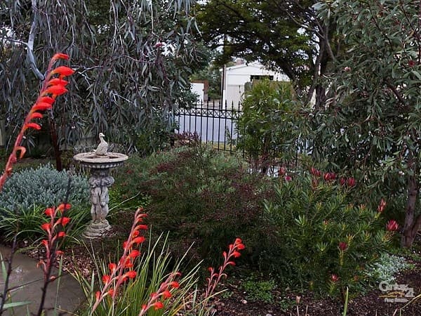 43A Whyte Street, Peterhead, SA, 5016, Peterhead - Thumbnail 5