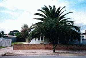 57 Semaphore Road, Semaphore, SA, 5019, Semaphore - Image 1