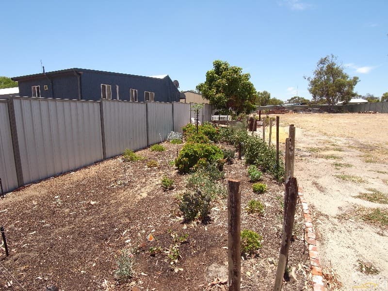 14 Harrington Street, Calingiri, WA, 6569, Calingiri - Thumbnail 2