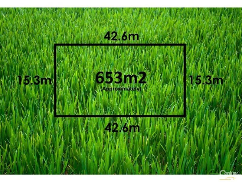 298 Mount Mellum Road, Mount Mellum, QLD, 4550, Mount Mellum - Thumbnail 2