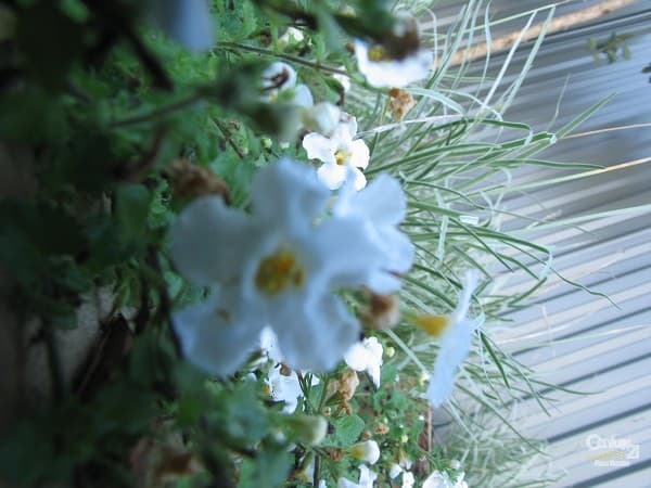 Rouse Hill Town Centre, Shop GR053, Civic Way, Rouse Hill, NSW, 2155, Kellyville - Thumbnail 7