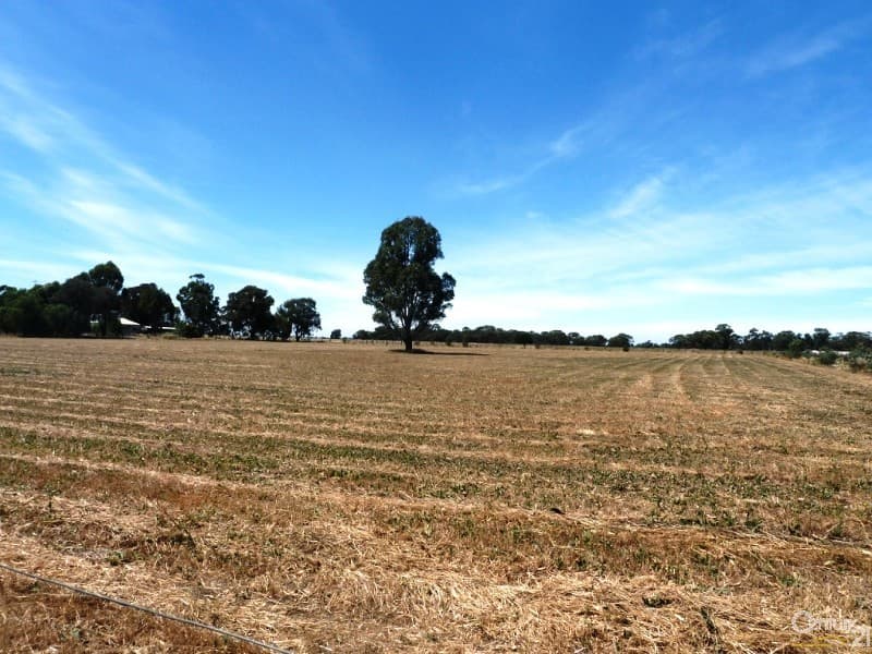865 Mt Terricks Rd, Echuca, VIC, 3564, Echuca - Thumbnail 3