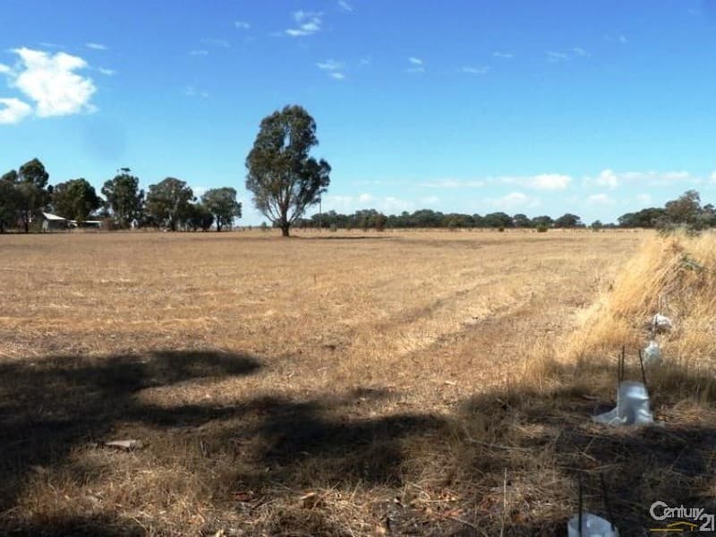 865 Mt Terricks Rd, Echuca, VIC, 3564, Echuca - Thumbnail 4