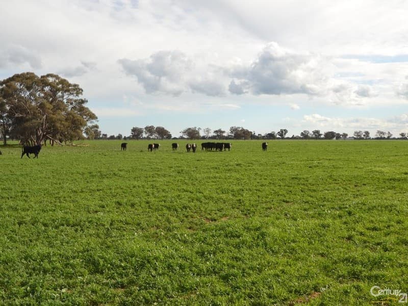 Thyra Road, Moama, NSW, 2731, Moama - Image 1