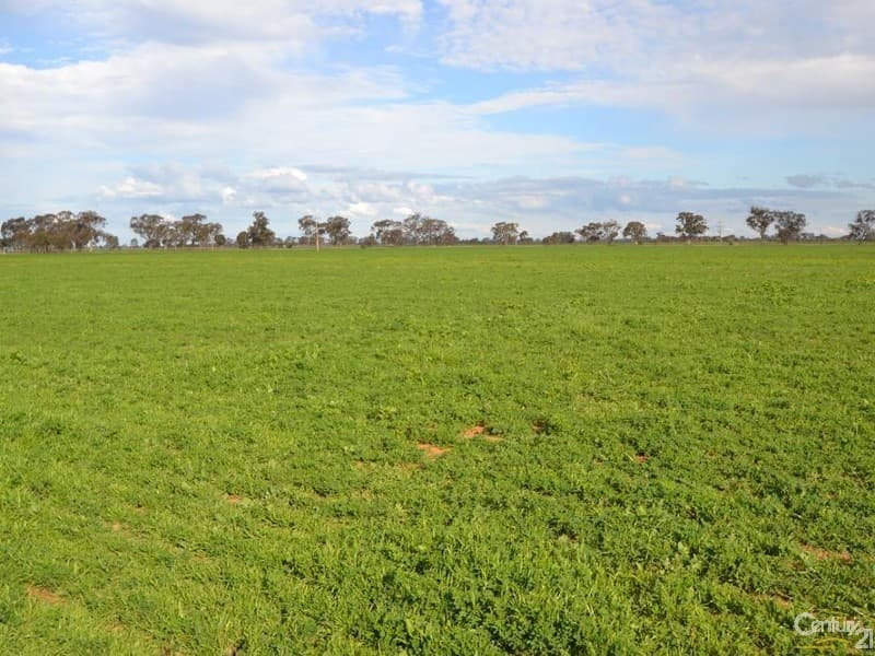 Thyra Road, Moama, NSW, 2731, Moama - Thumbnail 2