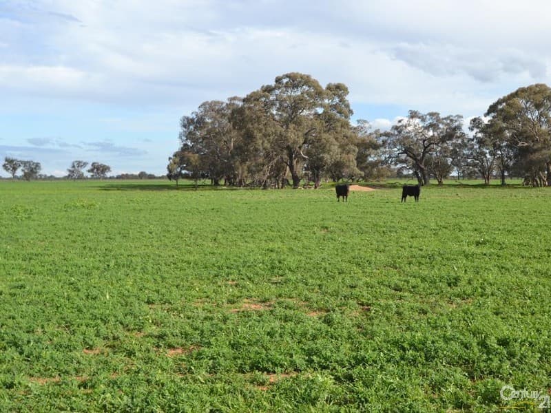 Thyra Road, Moama, NSW, 2731, Moama - Thumbnail 3