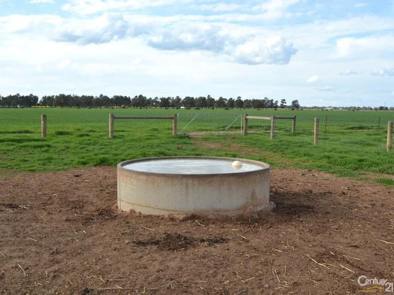Thyra Road, Moama, NSW, 2731, Moama - Thumbnail 4