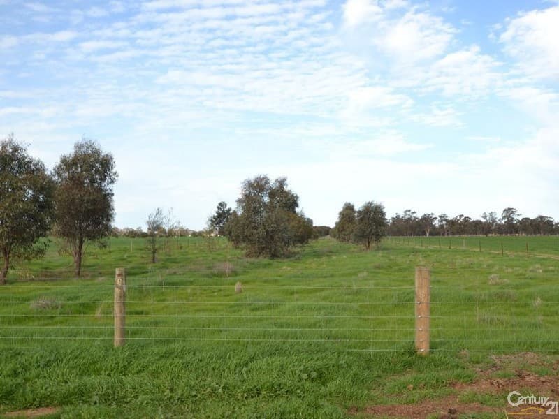 Thyra Road, Moama, NSW, 2731, Moama - Thumbnail 5