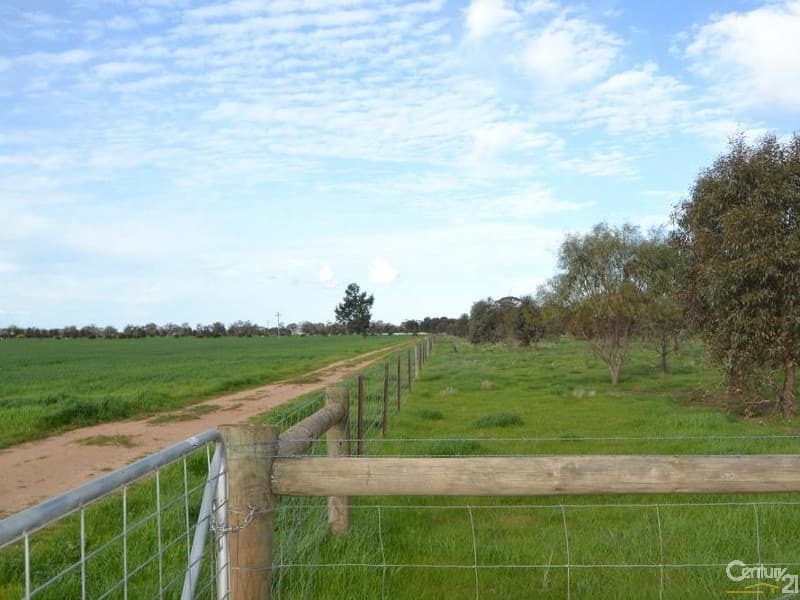 Thyra Road, Moama, NSW, 2731, Moama - Thumbnail 6