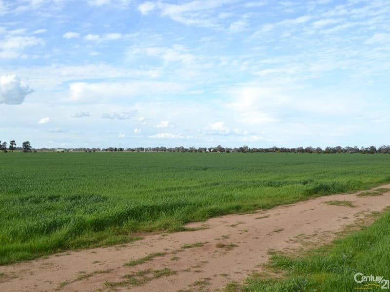 Thyra Road, Moama, NSW, 2731, Moama - Thumbnail 7
