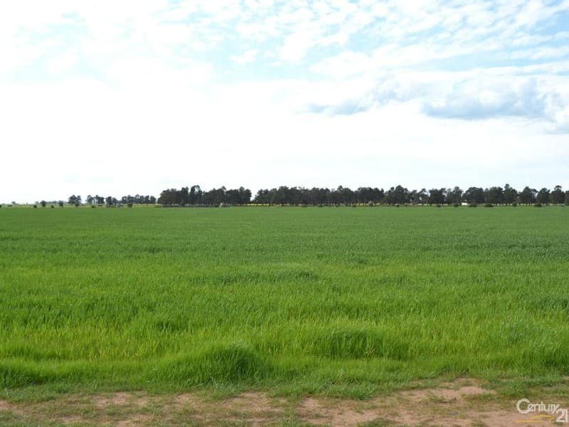 Thyra Road, Moama, NSW, 2731, Moama - Thumbnail 8