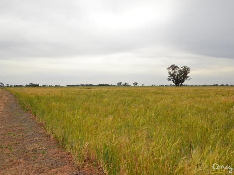 Merrybank Thyra Road, Moama, NSW, 2731, Moama - Thumbnail 2