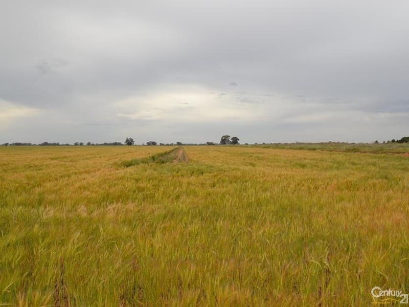 Merrybank Thyra Road, Moama, NSW, 2731, Moama - Thumbnail 4