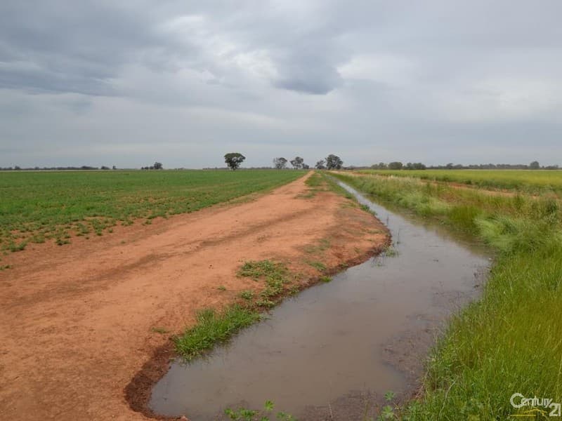 Merrybank Thyra Road, Moama, NSW, 2731, Moama - Thumbnail 5