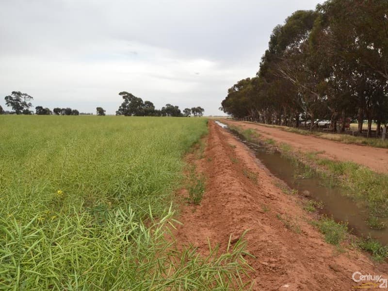 Merrybank Thyra Road, Moama, NSW, 2731, Moama - Thumbnail 7
