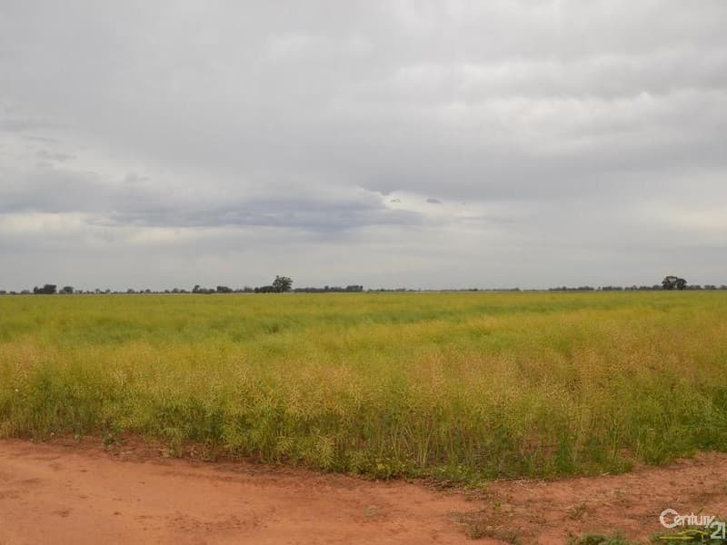 Merrybank Thyra Road, Moama, NSW, 2731, Moama - Thumbnail 8