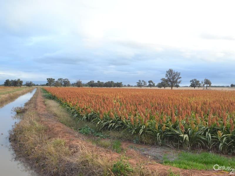 Merrybank Thyra Road, Moama, NSW, 2731, Moama - Thumbnail 3