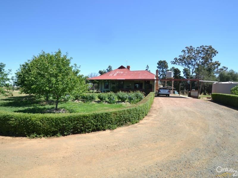 Winillba Bunnaloo Road, Mathoura, NSW, 2710, Mathoura - Image 1