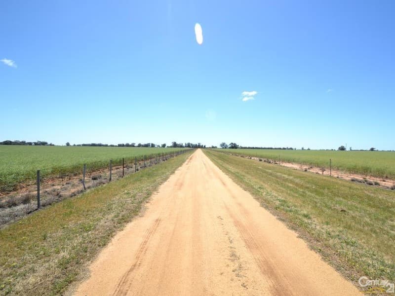 Winillba Bunnaloo Road, Mathoura, NSW, 2710, Mathoura - Thumbnail 3