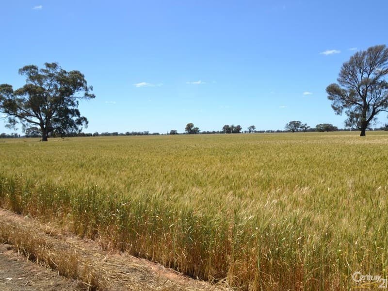 Winillba Bunnaloo Road, Mathoura, NSW, 2710, Mathoura - Thumbnail 4