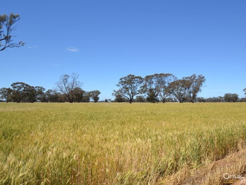 Winillba Bunnaloo Road, Mathoura, NSW, 2710, Mathoura - Thumbnail 5