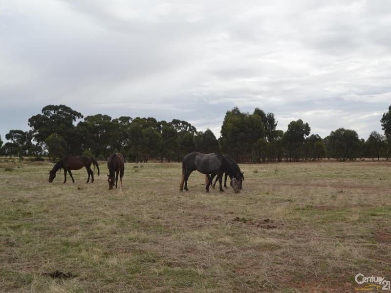 Lot 219 Tandarra Road, Moama, NSW, 2731, Moama - Image 1