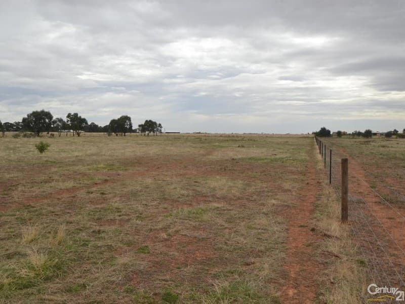 Lot 219 Tandarra Road, Moama, NSW, 2731, Moama - Thumbnail 2