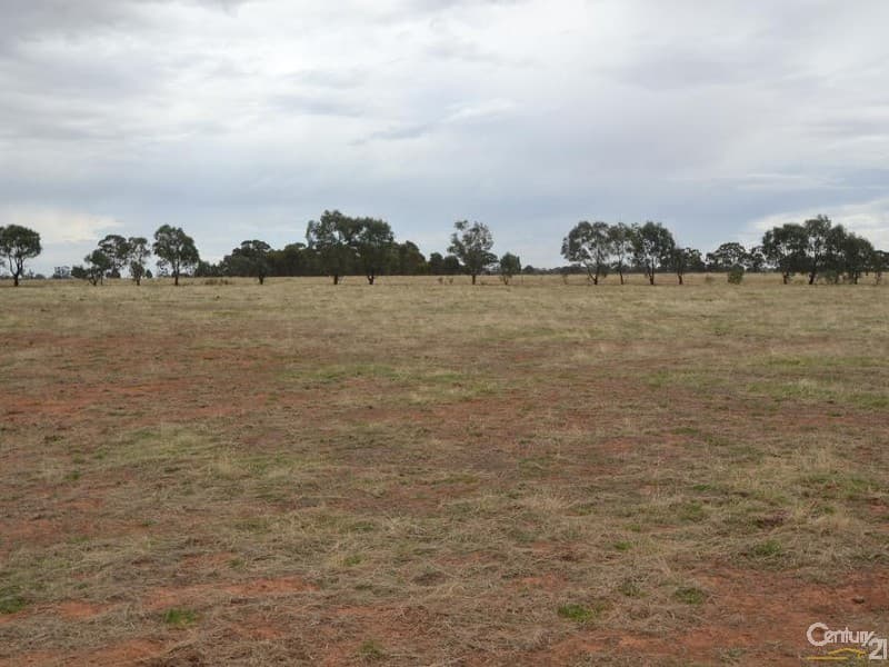 Lot 219 Tandarra Road, Moama, NSW, 2731, Moama - Thumbnail 3