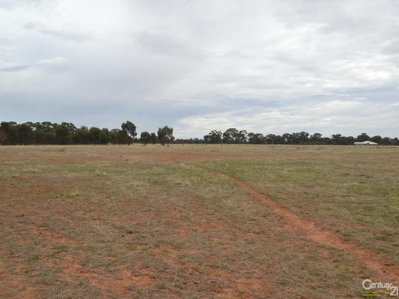Lot 219 Tandarra Road, Moama, NSW, 2731, Moama - Thumbnail 4