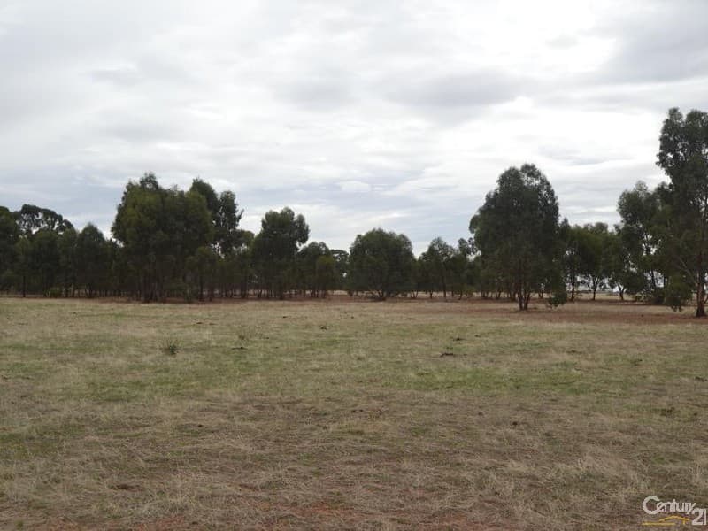 Lot 219 Tandarra Road, Moama, NSW, 2731, Moama - Thumbnail 5