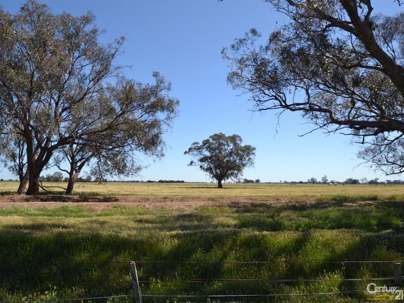 1233 'Avonleigh' Thyra Road, Moama, NSW, 2731, Moama - Image 1