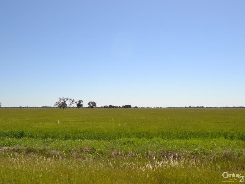 1233 'Avonleigh' Thyra Road, Moama, NSW, 2731, Moama - Thumbnail 2