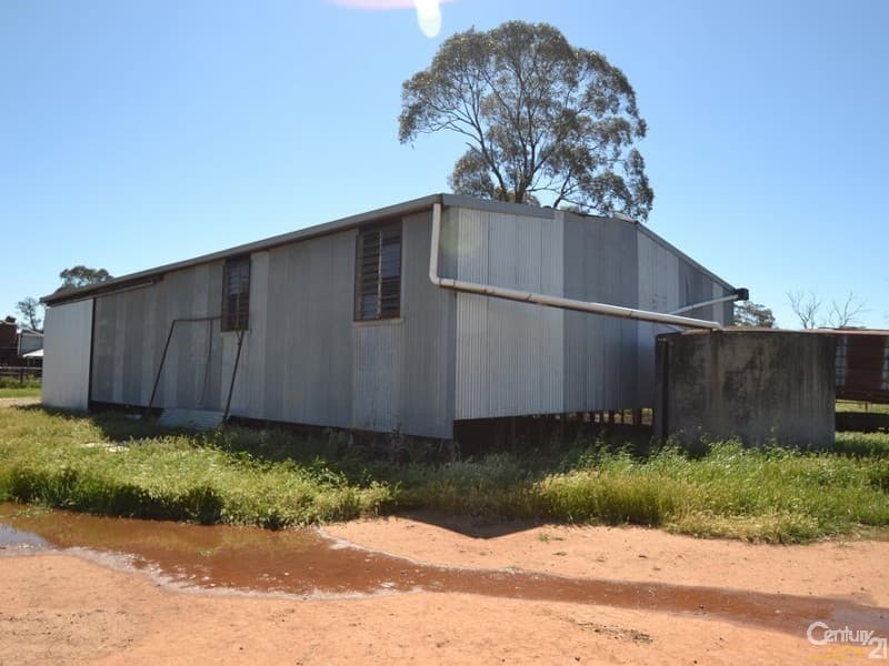 1233 'Avonleigh' Thyra Road, Moama, NSW, 2731, Moama - Thumbnail 5