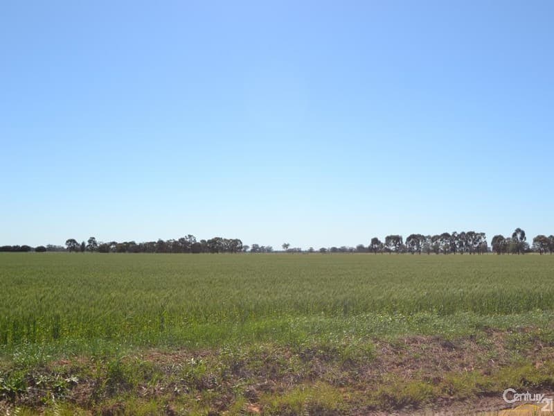 1233 'Avonleigh' Thyra Road, Moama, NSW, 2731, Moama - Thumbnail 7