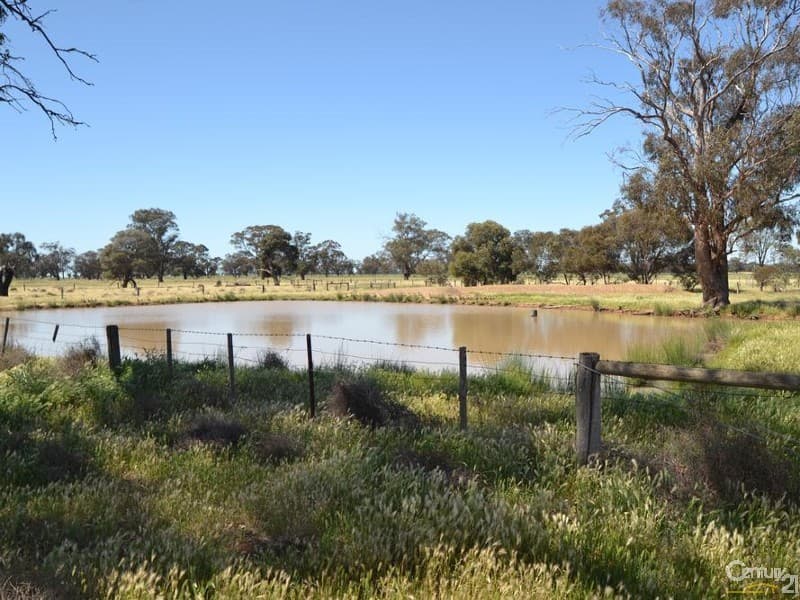 1233 'Avonleigh' Thyra Road, Moama, NSW, 2731, Moama - Thumbnail 8